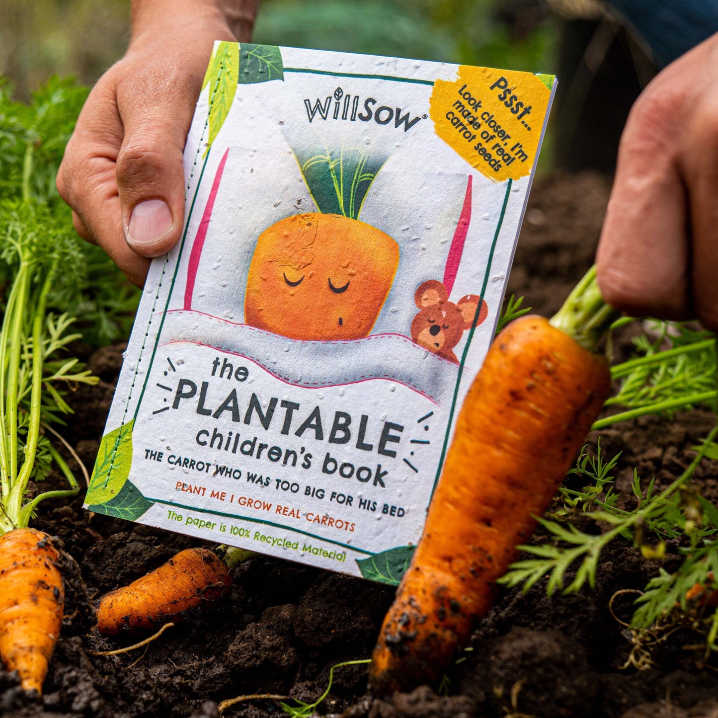 Willsow Plantable Children's Book - The Carrot Who Was Too Big For His Bed