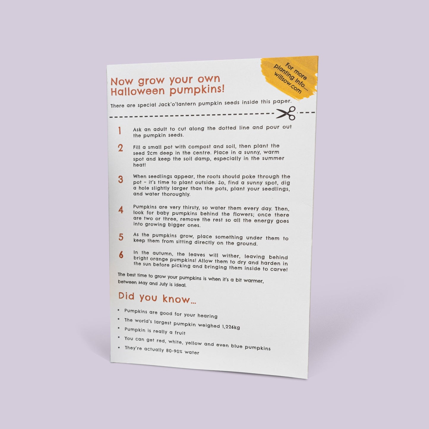 Willsow Plantable Children's Book- The Pumpkin Who Was Afraid Of The Dark