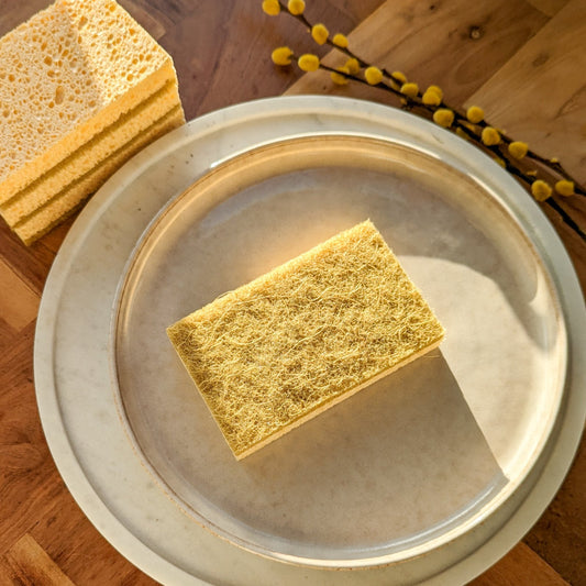 Compostable cleaning sponge